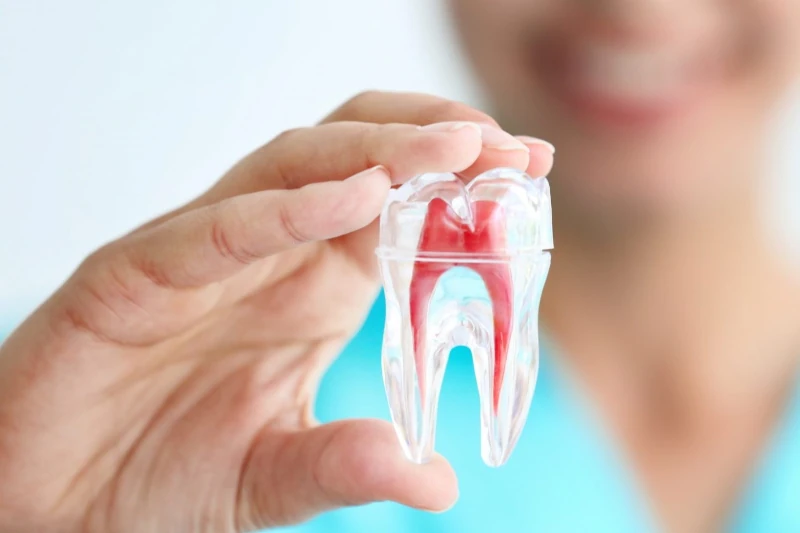 بهترین دکتر عصب کشی دندان در شیان